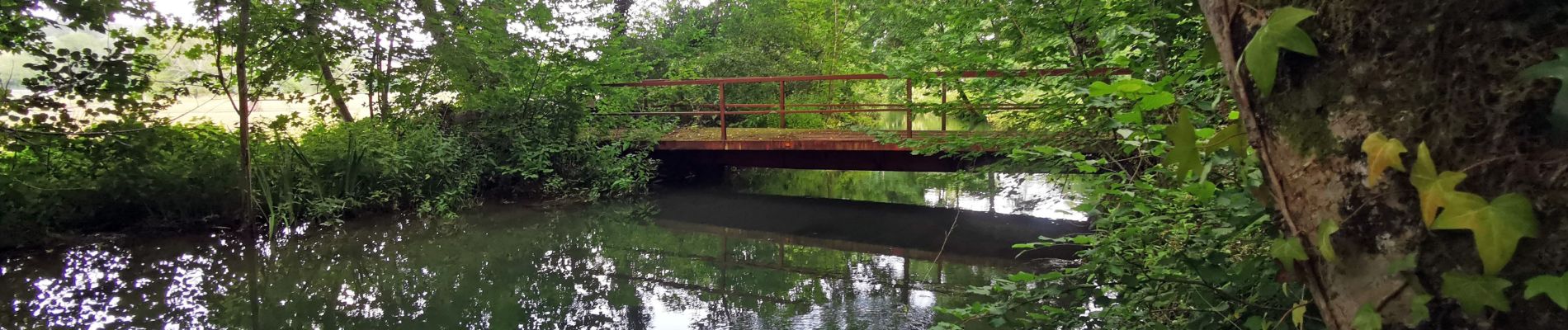 Randonnée V.T.T. Dancevoir - PN de Forêts à VTT : entre Dancevoir et Gurgy - Photo