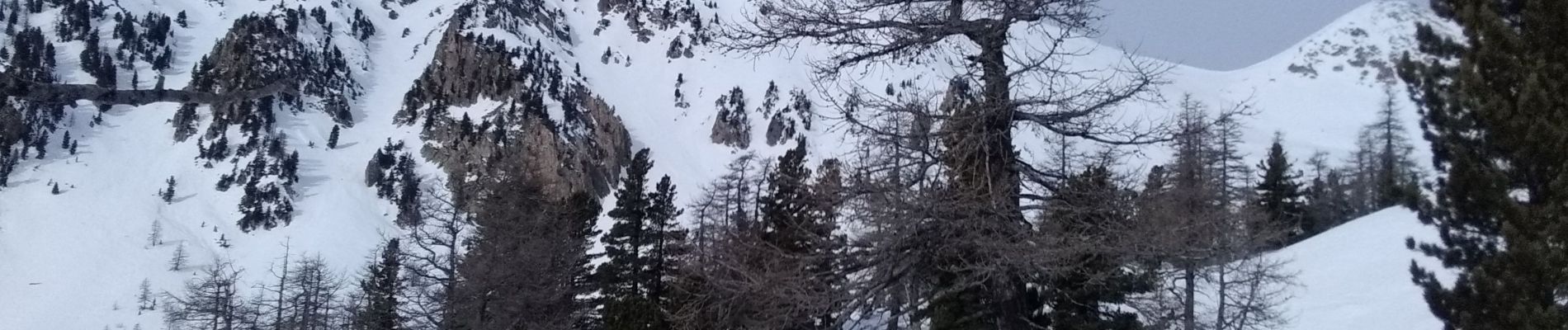 Tocht Ski randonnée Saint-Martin-Vésubie - Baisse de Pagari de Salèse - Photo