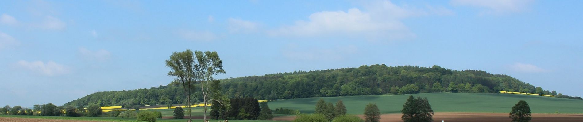 Randonnée A pied Hann. Münden - Panoramaweg - Bramwald - Photo