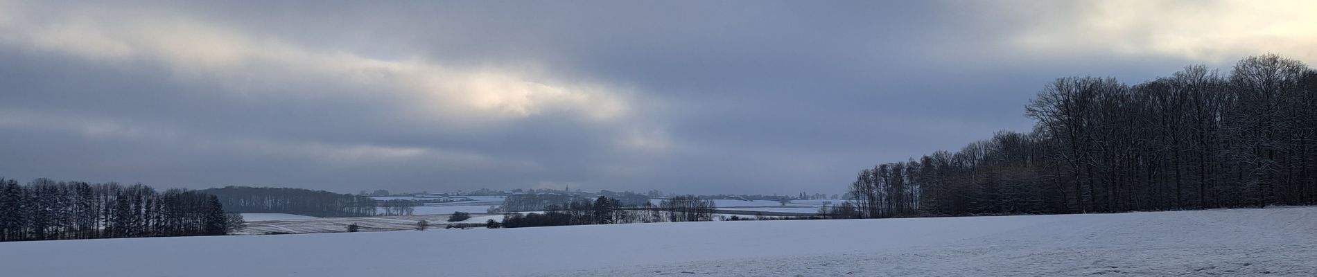 Excursión Senderismo Havelange - Méan sous la neige  - Photo