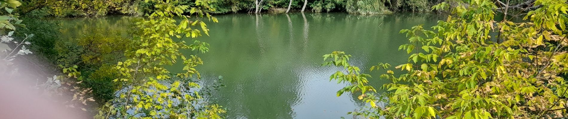 Tour Wandern Saint-Sériès - st séries berges du vidourle circuit long avec photos - Photo