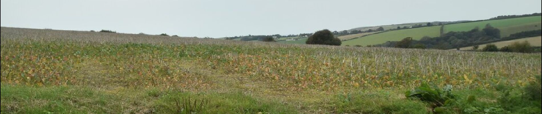 Tocht Te voet South Hams - Avon Estuary Walk - Photo