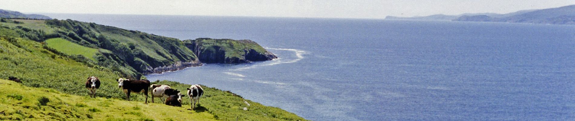 Percorso A piedi West Cork - Gortnakilly Loop - Photo