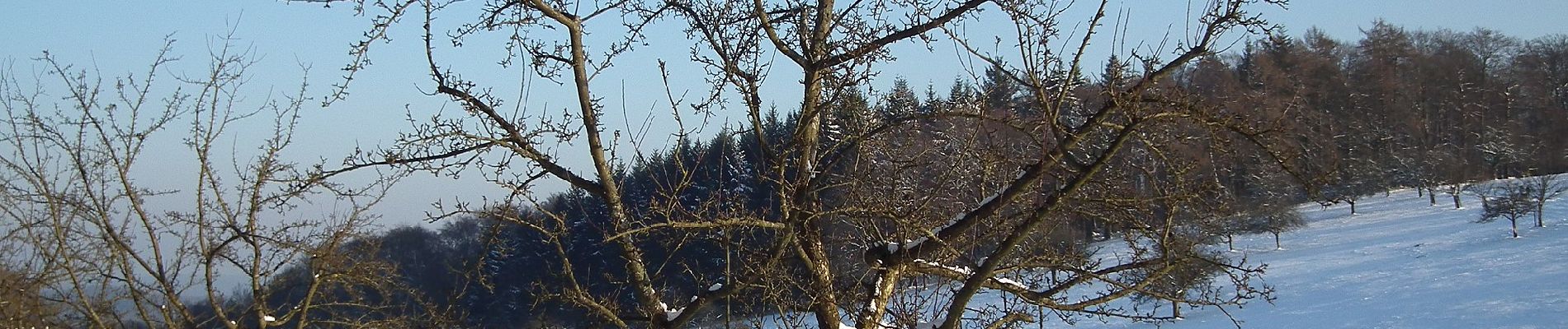 Tour Zu Fuß Unbekannt - Rundwanderweg Drei Eichen 7: Stephanshütten-Weg - Photo