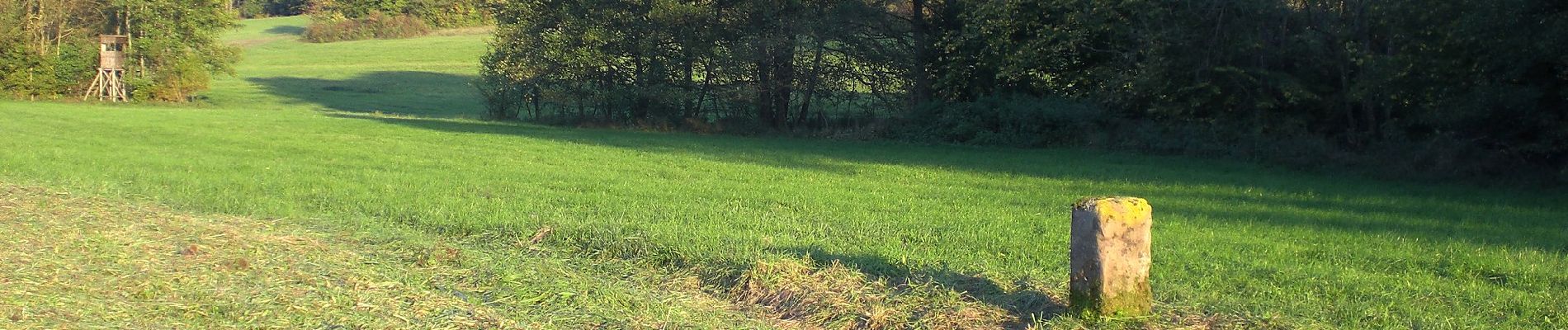 Tour Zu Fuß Gersheim - Nordic-Walking-Weg 6 - Photo