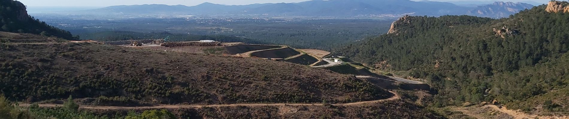 Trail Nordic walking Puget-sur-Argens - lieutenante - Photo