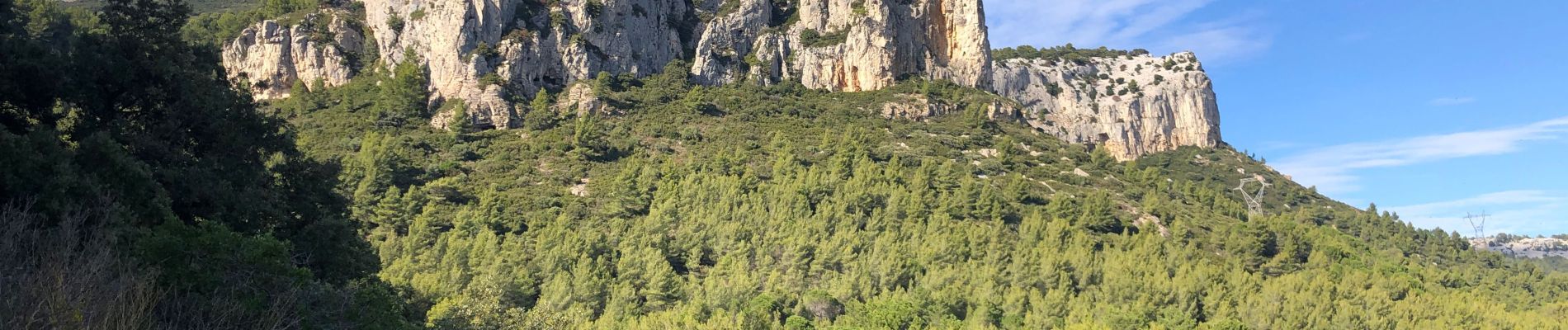 Percorso Marcia Le Revest-les-Eaux - Le Mont Caume  - Photo