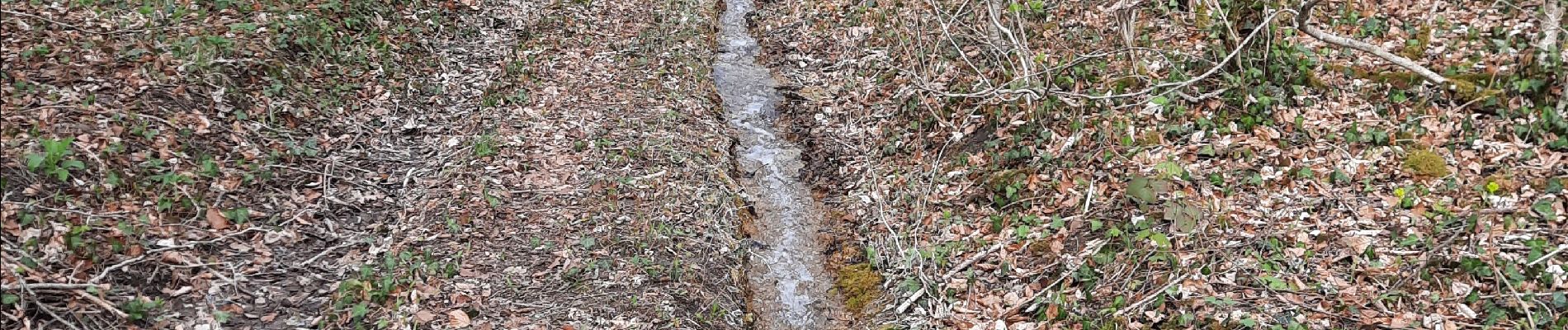 Tocht Stappen Mandeure - source Charles  - Photo