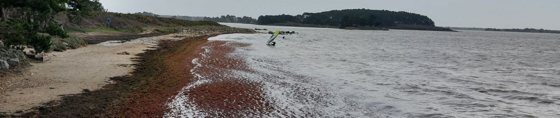 Randonnée Marche Séné - PR_56_Sene_DA_04_Circuit3b_De-La-Pointe-Du-Bill_20221231 - Photo