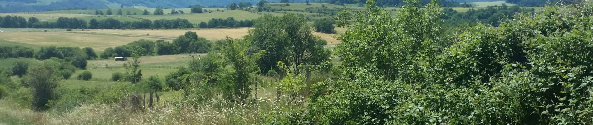 Tocht Mountainbike Le Vernet-Sainte-Marguerite - Saigne Lac Chambon - Photo