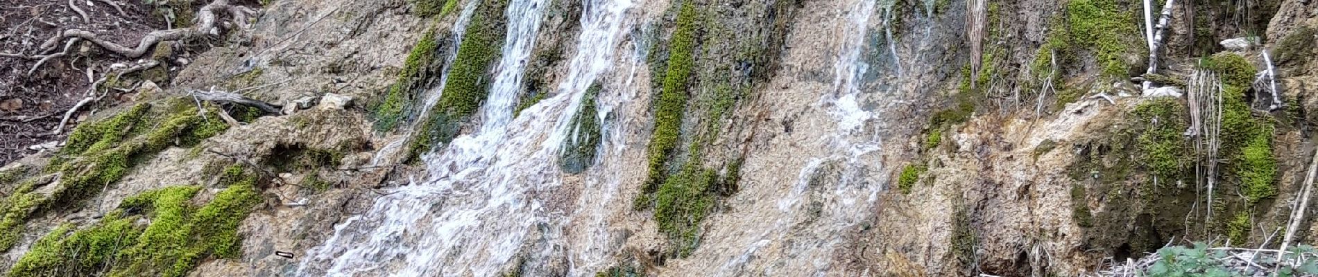 Excursión Senderismo La Tour-du-Meix - Tour du Meix - Photo