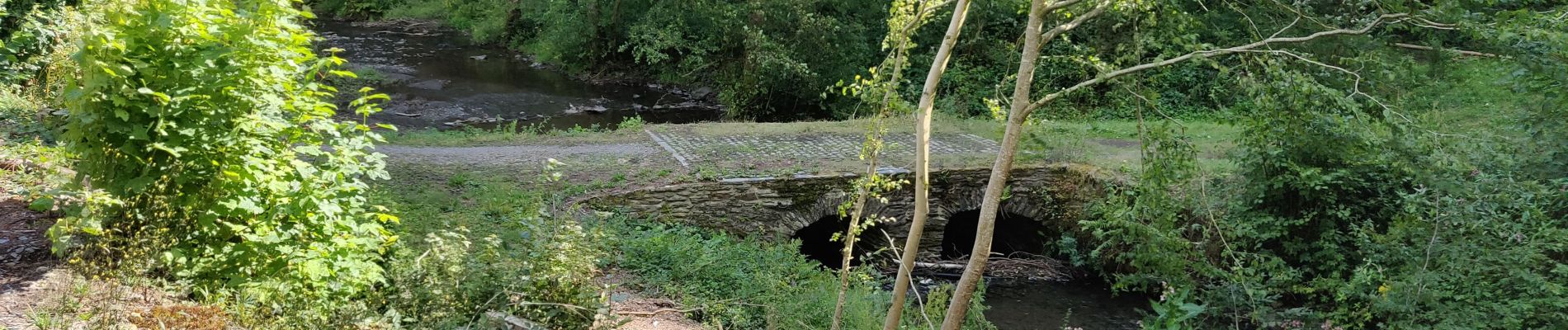 Tour Wandern Vresse-sur-Semois - Nafraiture  - Photo