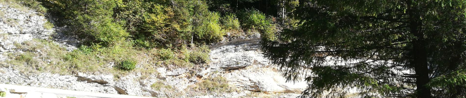 Trail Walking Autrans-Méaudre en Vercors - méaudre 2019 - Photo