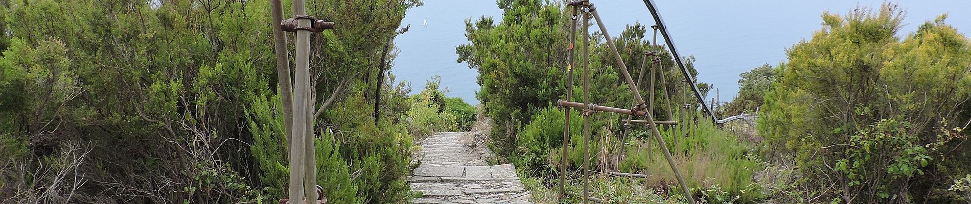 Randonnée A pied La Spezia - Fabiano – Mad.na dell'Olmo – Cà Pilloa – Sella Gesuela - Photo