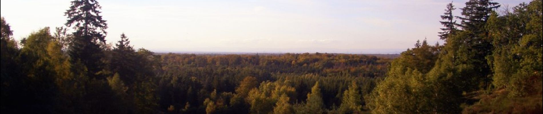 Tocht Te voet Messel - Rundwanderweg Messel 2: Ölschiefer-Weg - Photo