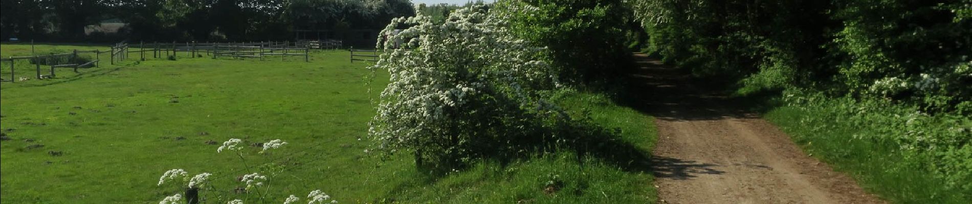 Tocht Te voet South Norfolk - Costessey Circular - Photo