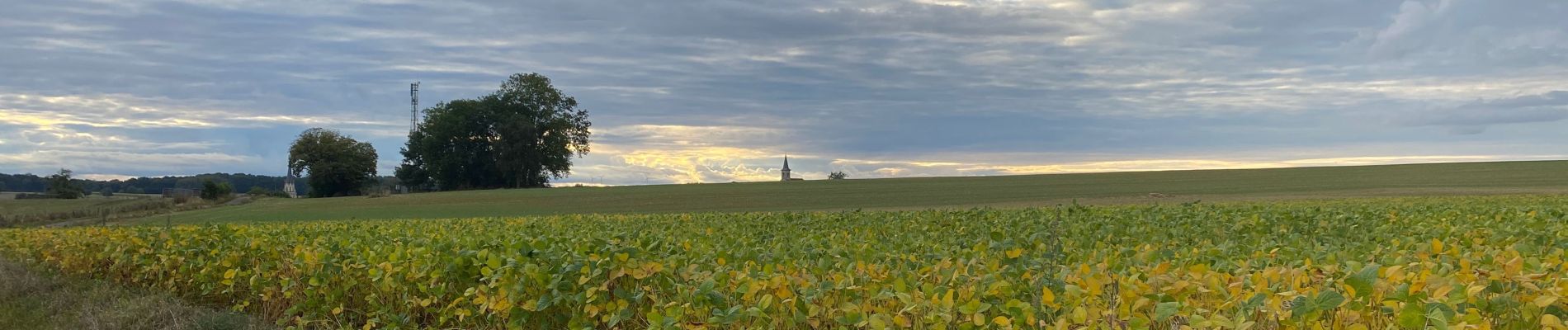 Tour Wandern Confracourt - Circuit 32 La forêt et les hommes ( version courte )  - Photo