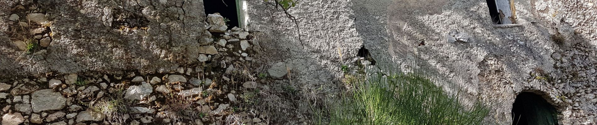 Tocht Stappen Nans-les-Pins - Sainte Baume Source de l'Huveaune par chemin des Roys depuis  Nans les pins  - Photo