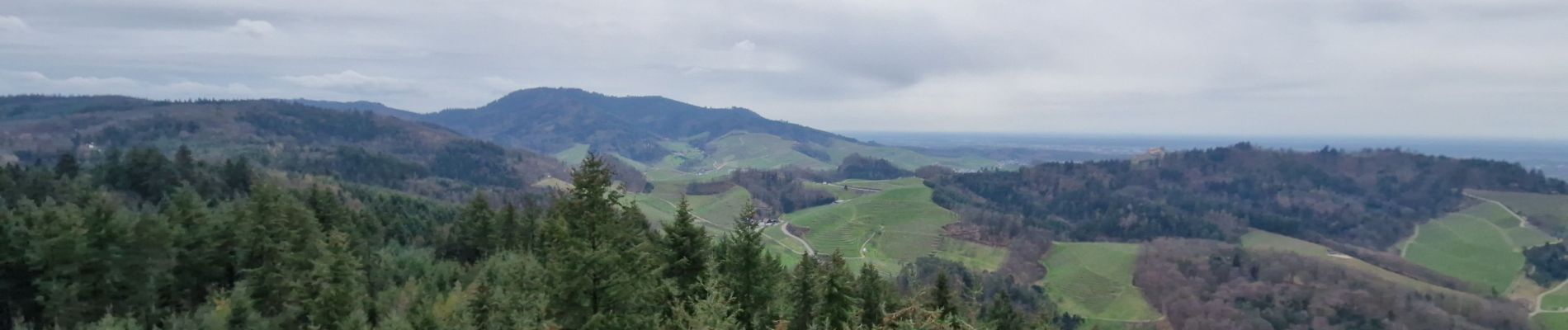 Randonnée Marche Oberkirch - 2024 - Oberkirch Brennersteig  - Photo