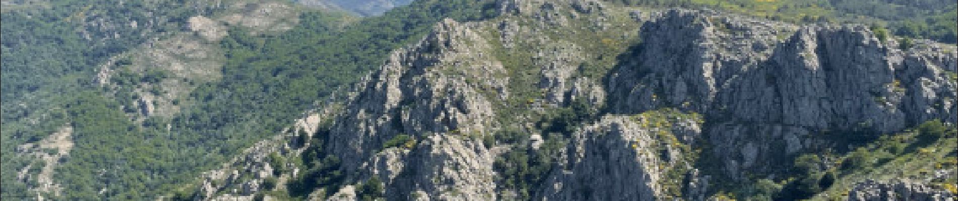 Trail Walking Rosis - Tour 360 des Rocs Caroux et de la Siejo par les Aiguilles et les Vires - Photo