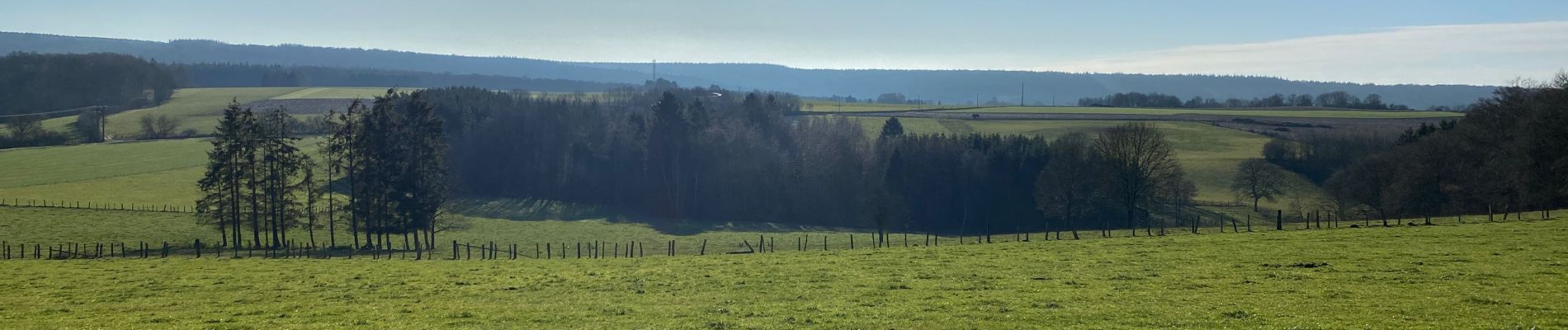 Trail Walking Saint-Hubert - Fourneau St Michel 11 km  - Photo