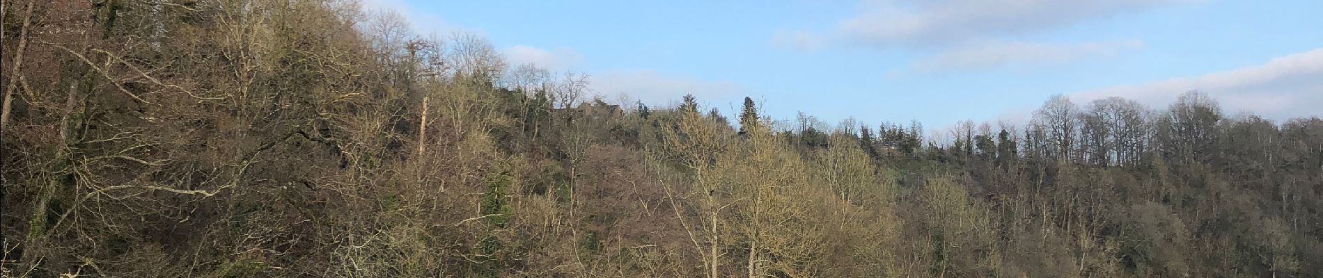 Randonnée Marche Rochefort - Tour de 9km au départ du Château  - Photo