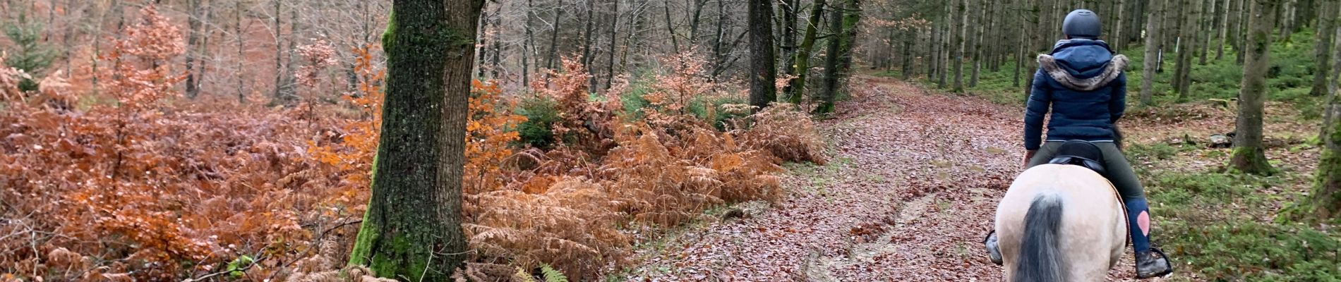 Tour Reiten Habich - Forêt de Rulles - Photo