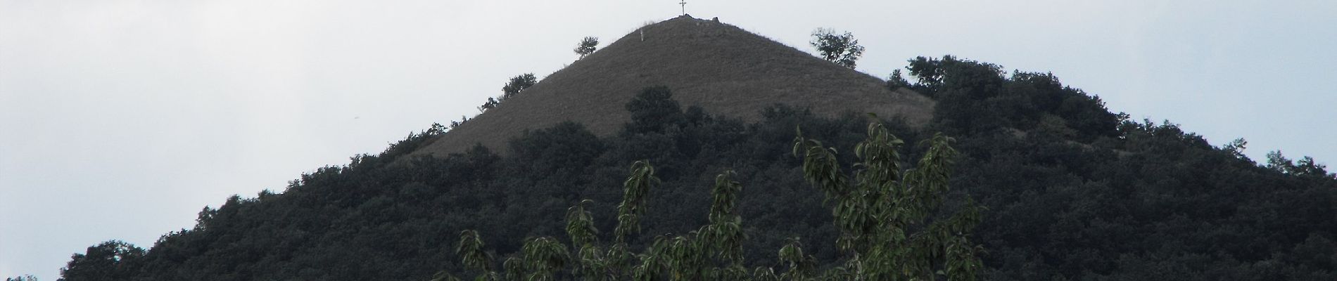 Randonnée A pied Nagybörzsöny - P+ (Kisirtáspuszta - Márianosztra) - Photo