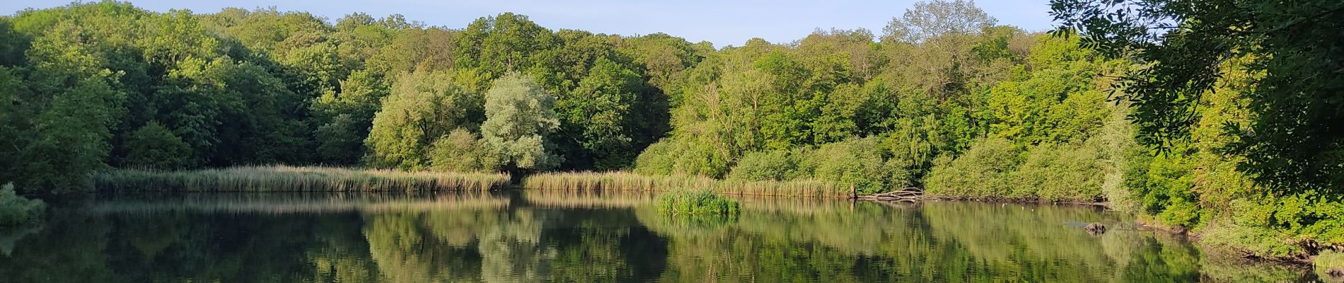 Randonnée Marche Vélizy-Villacoublay - Ville d'Avray depuis Vélizy - Photo