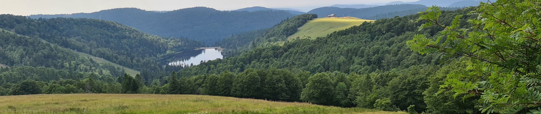 Tour Wandern Woll - La Bresse - Breitzhousen - source de la Moselotte - lac de La Lande - Photo