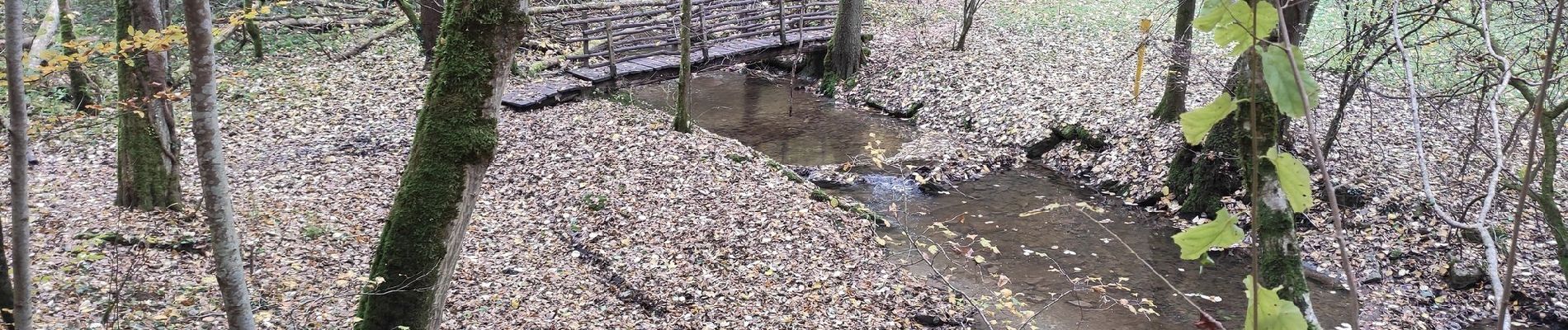 Randonnée A pied Kirchberg an der Murr - Kirchberg - Winnenden - Photo