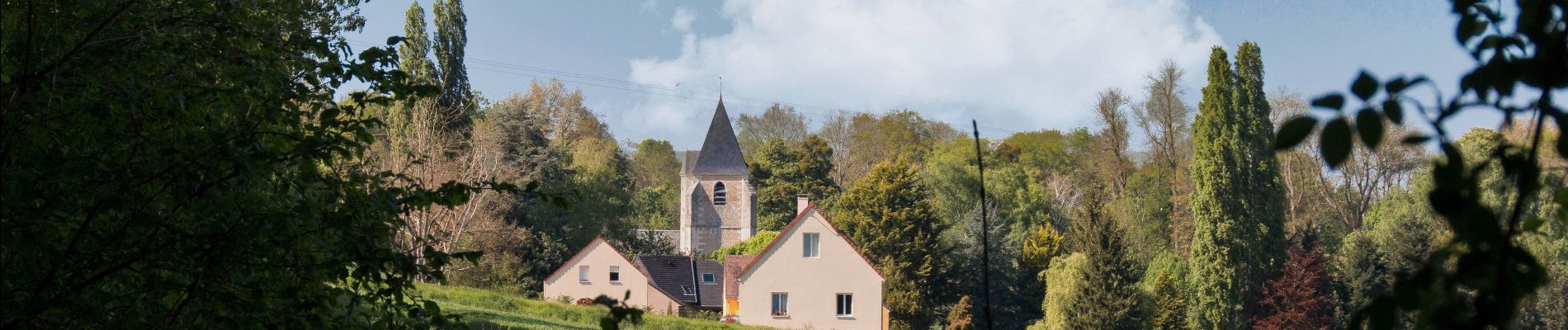 Percorso Marcia Sablons sur Huisne - Le Bois de Condeau 9.4 Km - Photo