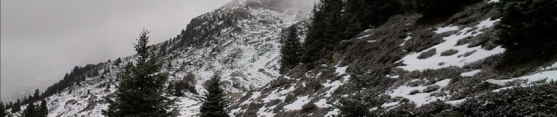 Tocht Te voet Sterzing - Vipiteno - Ridnauner Höhenweg - Photo