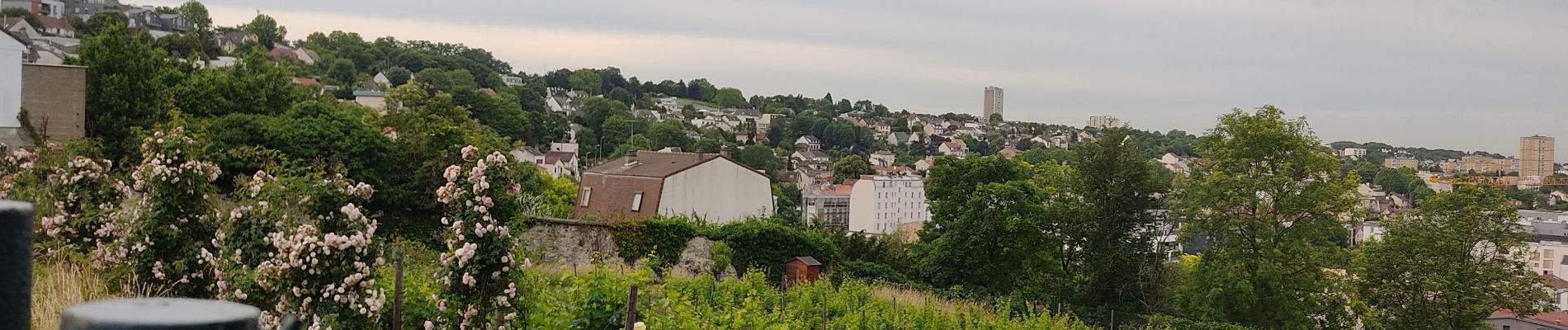 Percorso Marcia Bagneux - Sentier des forts ouest - Photo