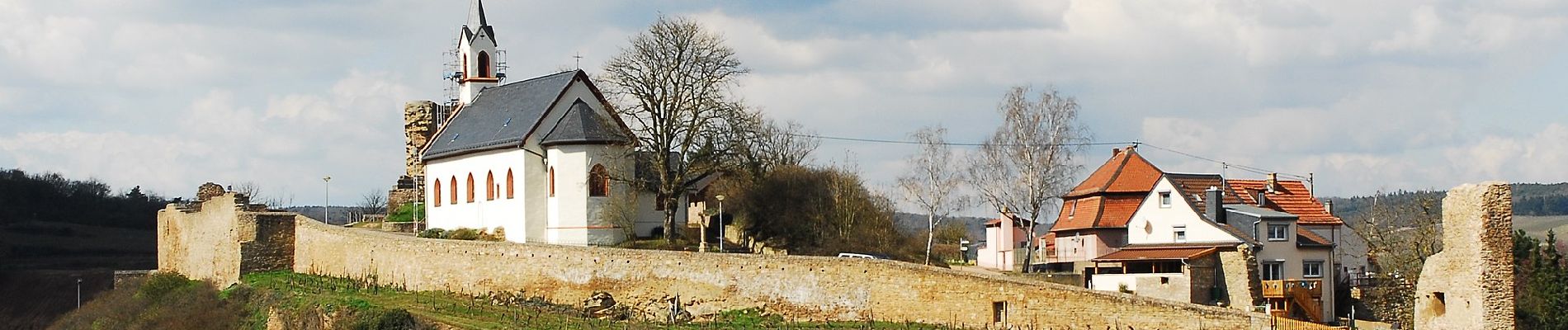 Excursión A pie Neu-Bamberg - Küstenweg 1: Rundweg Siefersheim - Wöllstein - Neubamberg - Photo