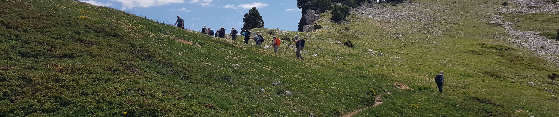 Trail Walking Corrençon-en-Vercors - Le Pas Ernadan et la Cabane à Goupette - Photo