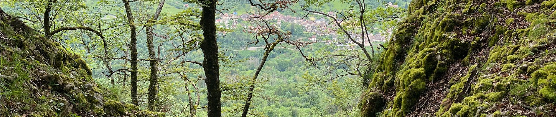 Tocht Stappen Mouthier-Haute-Pierre - Mouthiers Haute Pierre / lods - Photo