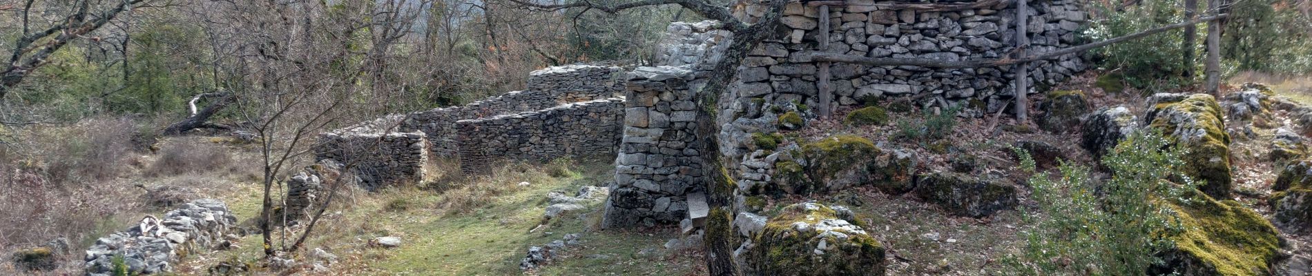 Tour Wandern Blauvac - Les Charbonnières Pié Gros - Photo