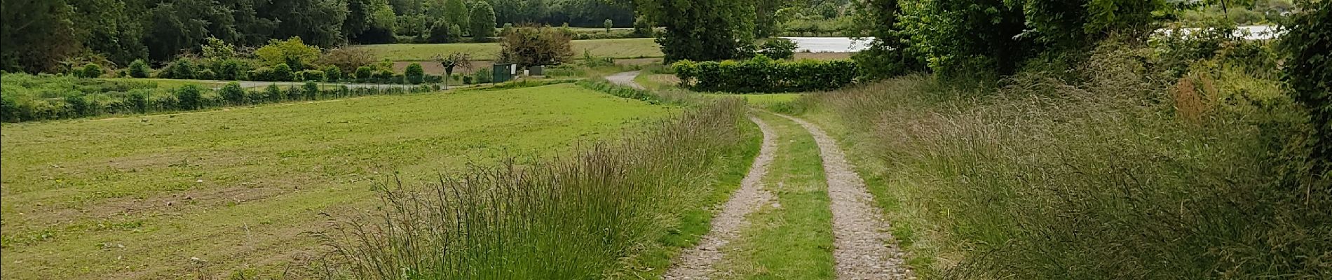 Percorso Marcia Saint-Suliac - belle randonnée depuis suliac vers le mont Garros retour vers suliac  par le chemin côtier ensuite faire le tour de la presqu'île pour revenir à suliac attention 2eme partie du chemin ne pas le faire  a un coefficient  haut  très agréable a faire - Photo