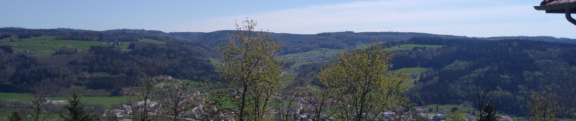 Trail Walking Le Val-d'Ajol - le val d'ajol - Photo