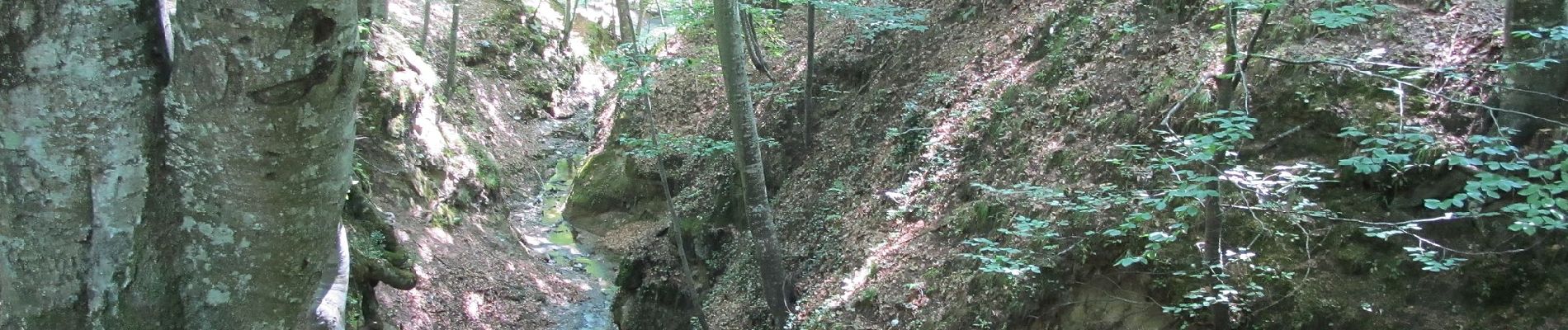 Tour Zu Fuß Băile Olănești - Băile Olănești - Plaiul Piatra Tăiată - Șaua Prislopel - Șaua La Lac - Curmătura Stogșoare - Cabana Cheia - Photo