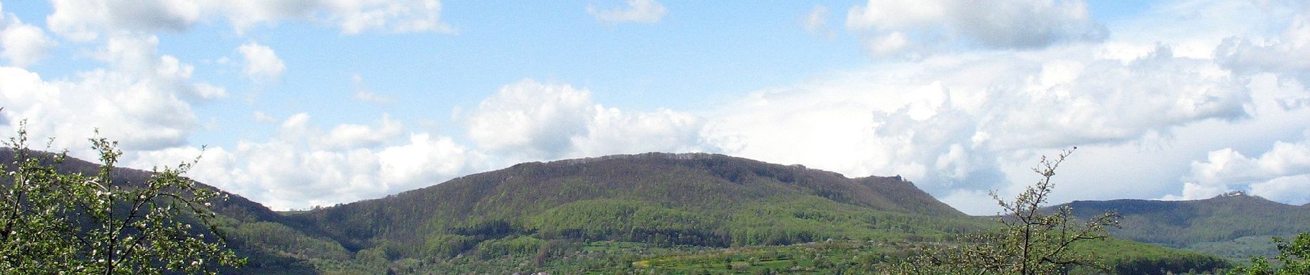 Tocht Te voet Weilheim an der Teck - Weilheim Rundweg 41 - Photo