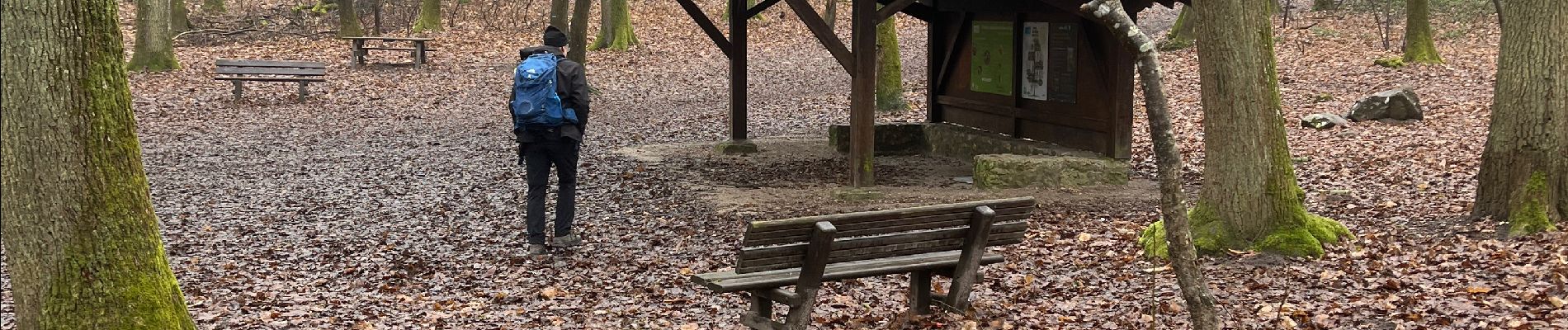 Percorso  Bruyères-le-Châtel - Bois de La Roche Turpin - Photo