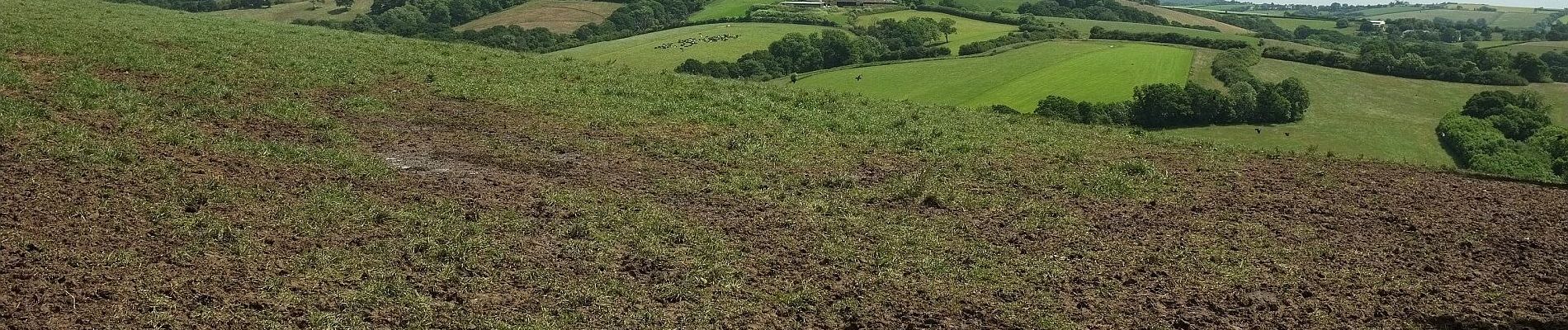 Percorso A piedi Teignbridge - Tedbury Circular Walk - Photo