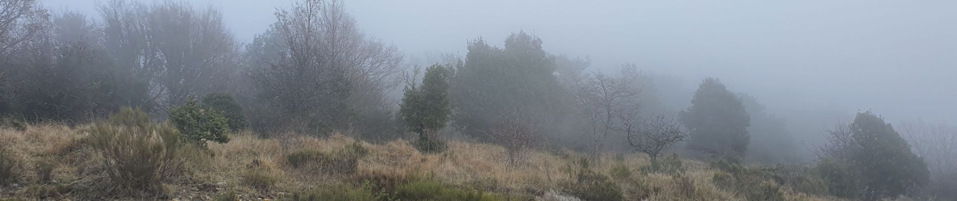 Randonnée Marche Tourrettes-sur-Loup - GOURMES  - Photo