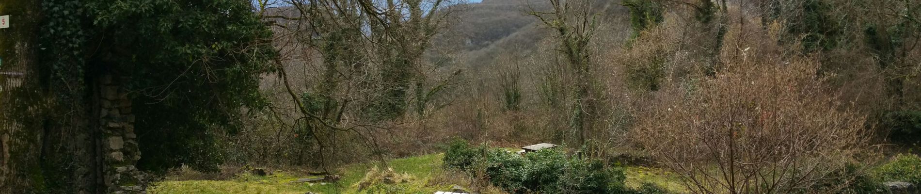 Excursión Marcha nórdica Seyssinet-Pariset - vouillands Mardi 28 - Photo