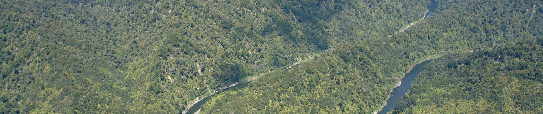 Tocht Te voet Unknown - Te Araroa - 04 Whanganui - c National Park to Whanganui River - Photo