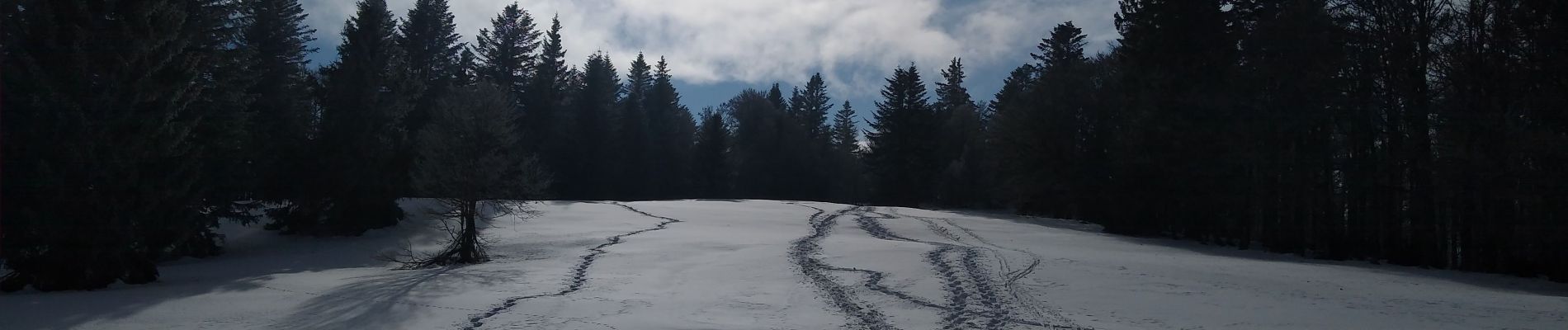 Percorso Racchette da neve Ventron - grand ventron raquettes - Photo