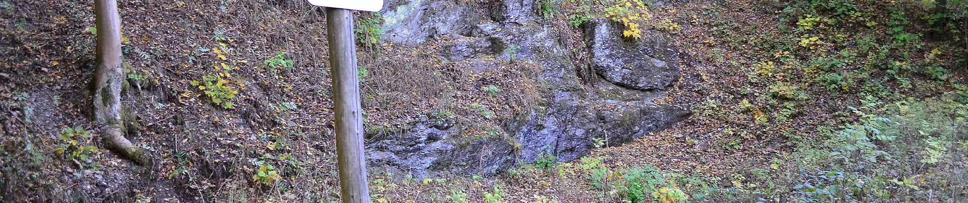 Tocht Te voet Harzgerode - Grüner Punkt Weg - Photo