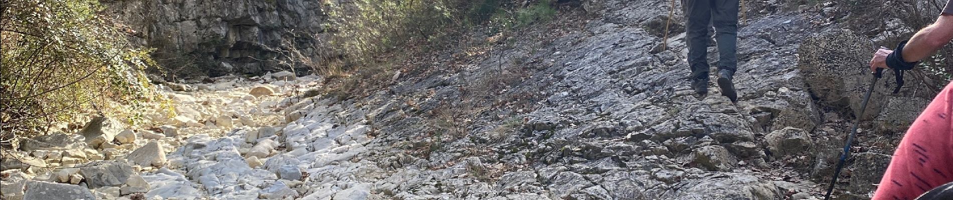 Randonnée Marche Sablet - Les crêtes de saint Amant  - Photo